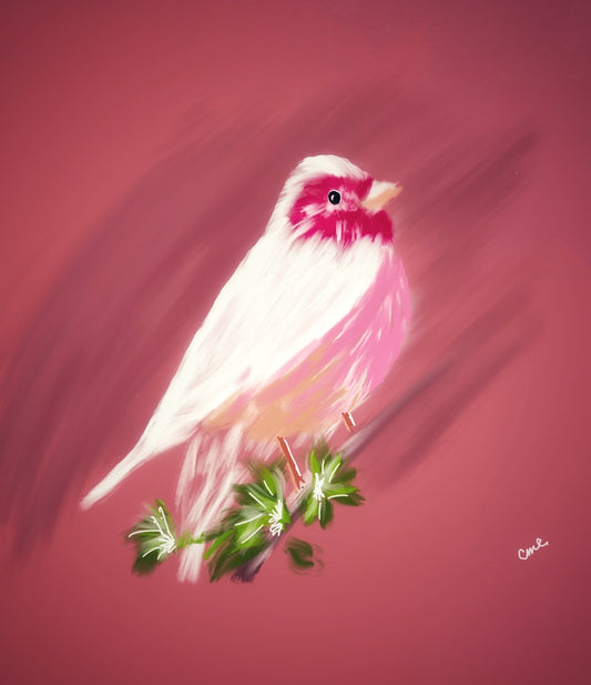 Bird Series 2 Giclee Print