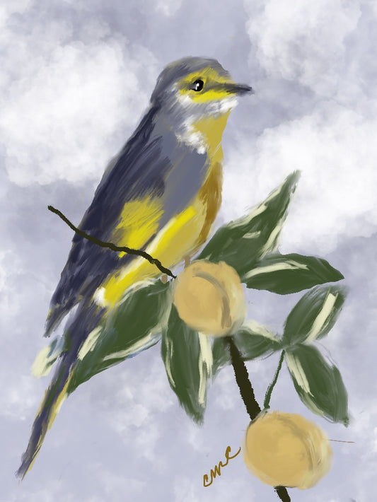 Bird Series 1 Giclee Print