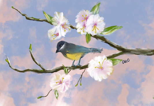 Bird Series 5 Giclee Print