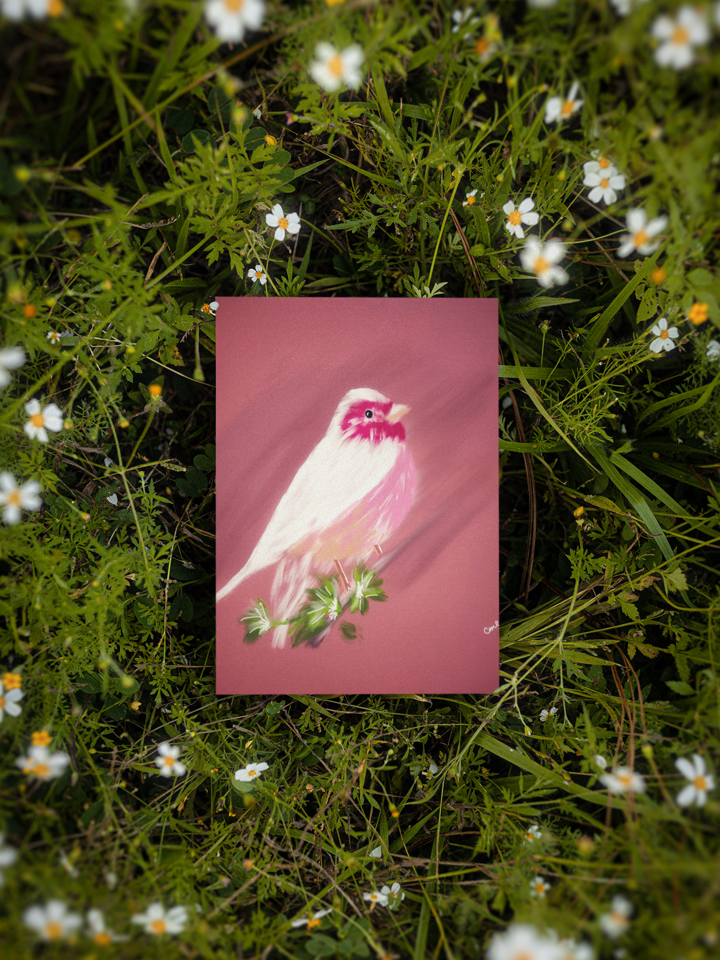 Bird Series 2 Giclee Print